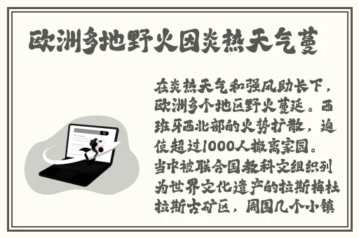 老马的春天顾晓婷